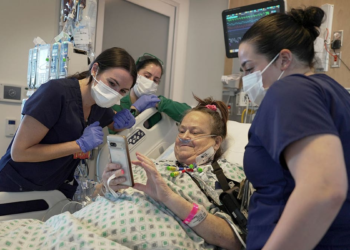 New Jersey woman recovering after receiving successful pig kidney transplant