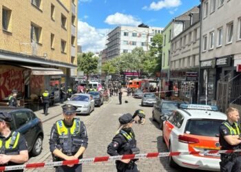 German Police Shoot Axe-Wielding Man Before Euro 2024 Game in Hamburg