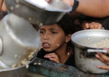 Israeli Army to Temporarily Halt Daytime Clashes for Aid Flow in Southern Gaza