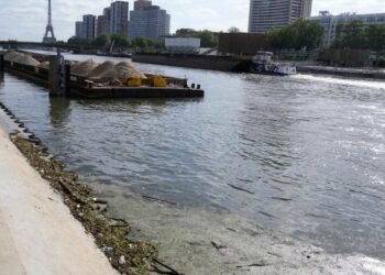 Seine River Pollution Threatens Paris Olympics – National Update