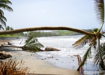 Canadian Airlines Cancel Flights as Hurricane Beryl Hits: Essential Info Canadian Airlines Cancel Flights as Hurricane Beryl Hits: Essential Info