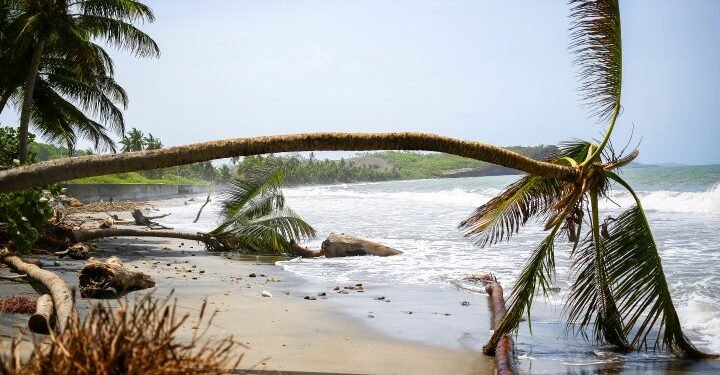 Canadian Airlines Cancel Flights as Hurricane Beryl Hits: Essential Info